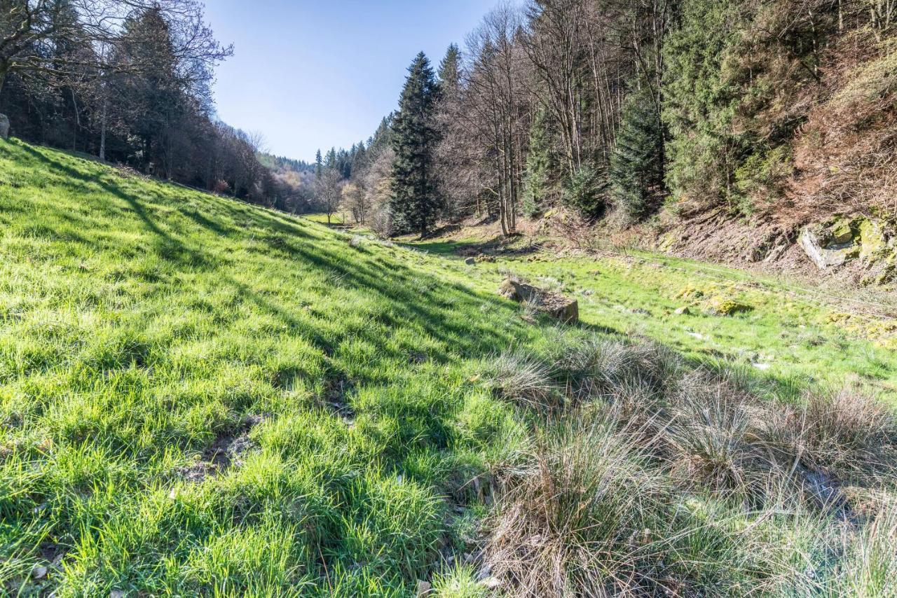 Ferienwohnung Gernsbach Bagian luar foto